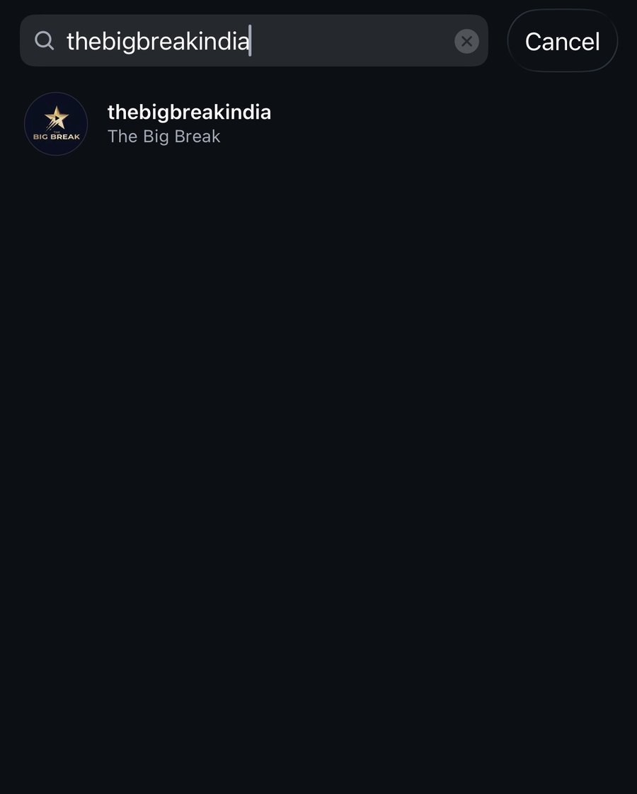 The Big Break's Instagram account, thebigbreakindia, in Instagram search